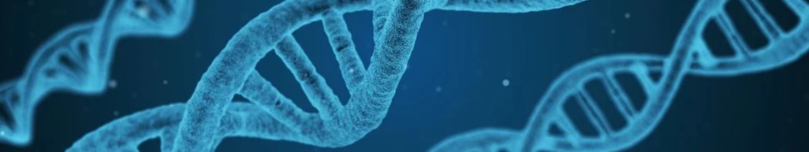 Journal of Medical, Therapeutic and Biomedical Sciences